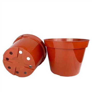 Potter For Blomster Frøplante Planter